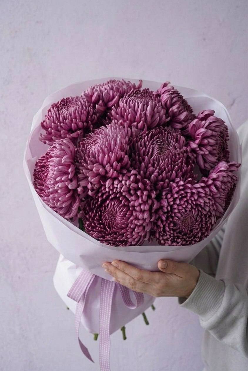 Моно-букет из 11 хризантем-бигуди
